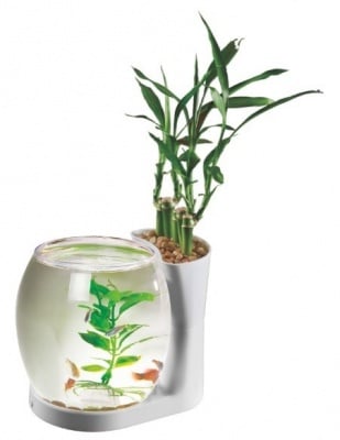 "BOL NATURE WORLD NW03 WHITE" - Малък аквариум за рибки