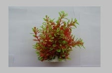 Изкуствено растение - 15см.