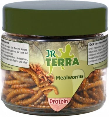 "JR Terra" – Бели червеи, богата на протеини храна за земноводни и влечуги