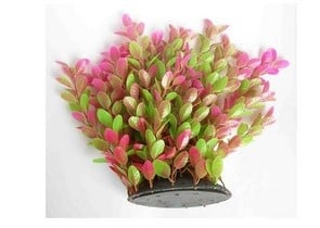 Декоративно изкуствено растение - 30см.