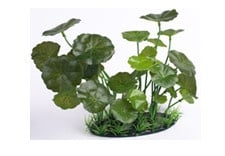 Изкуствено растение - 18см.