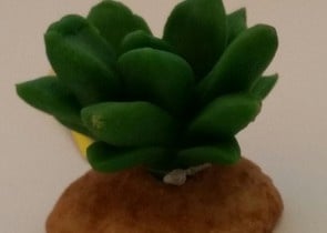 Декорация CACTUS-AF 195