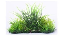 Изкуствено растение - 19см.