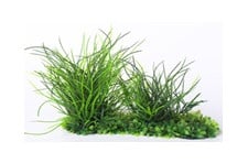 Изкуствено растение - 20см.