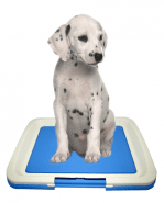 RELY Кучешка тоалетна