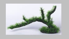 Изкуствено растение - 30 см.