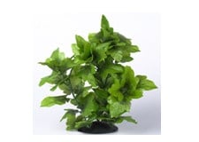 Изкуствено растение - 40см.