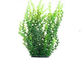 Изкуствено растение - 43см.