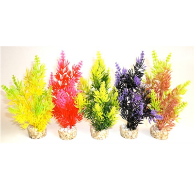 Растение Nano Fiesta 14см от Sydeco, Франция