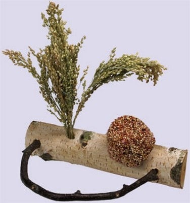 Бар за птици 