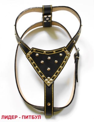 Нагръдник Лидер за питбул с подплата, шит - три цвята