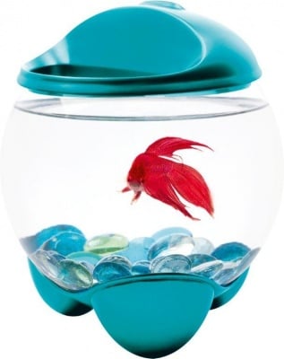 "Tetra Betta AguarIum BUBBLE" - Аквариум за рибки Бета