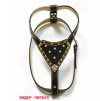 Нагръдник Лидер за питбул с подплата, шит - три цвята