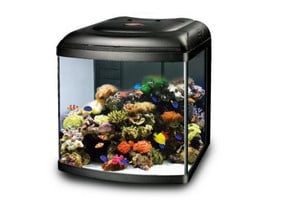 "Marine Reef" - Аквариум за рибки и корали