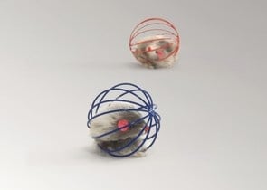 Tелена топка с мишка