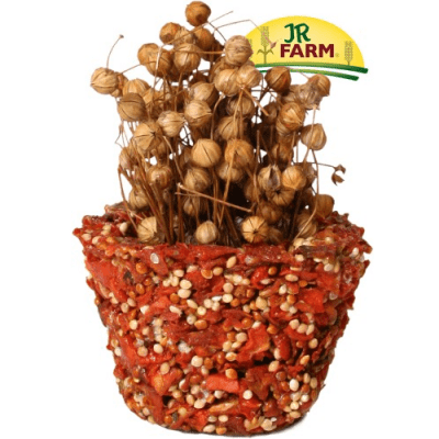 Натурална храна от Моркови за всички видове гризачи