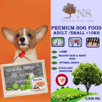 Суха храна за куче, Natural Selection Premium, с агнешко месо, 100гр насипно