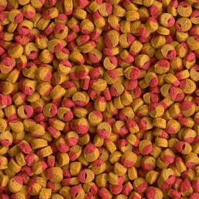 "Cichlid Colour" - Насипна гранулирана храна за Цихлидди