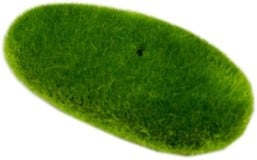 Aqua Nova Декорация 81#9-4  10x5cm, 