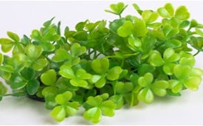 Декоративно изкуствено растение - 9см.