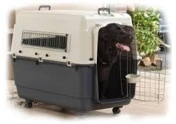 Транспортни чанти Andes от Savic, Белгия - три размера