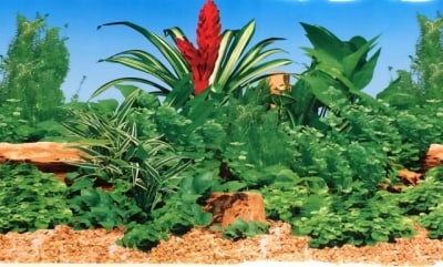 Aqua Nova Плакат едностранен Н-30см;Н-50см;Н-60см червен камък и пясък