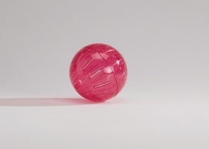 Малка сфера за гризачи