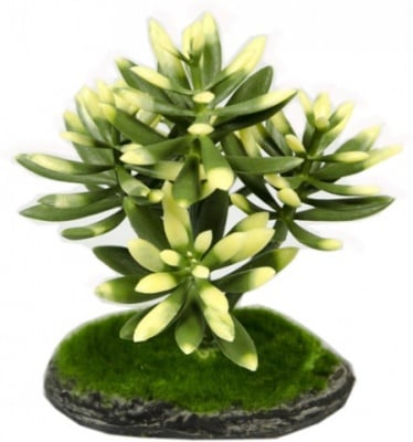 Aqua Nova REP17015  Изкуствено растение 15см 