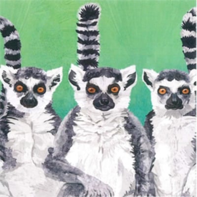 Салфетка PPD, 33 x 33 cm, пак. 20 бр