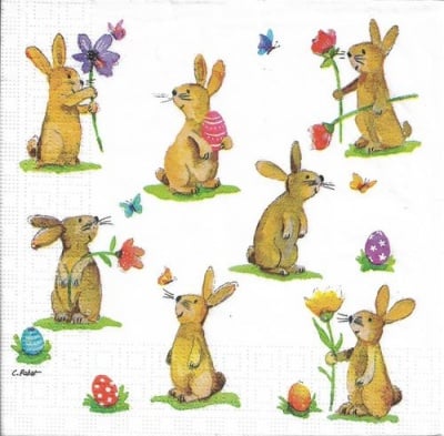 Салфетка PPD, 33 x 33 cm, пак.20 бр.