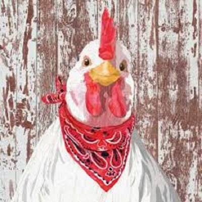 Салфетка PPD, 33 x 33 cm, пак.20 бр.