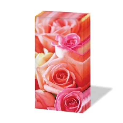 Кърпичка за нос SNIFF, пак.10 бр.