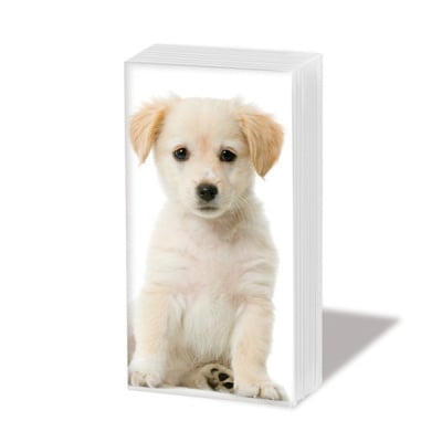 Кърпичка за нос SNIFF, пак.10 бр.