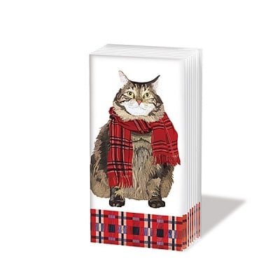  Кърпичка за нос SNIFF, пак.10 бр.