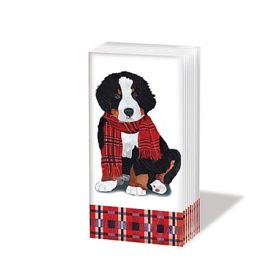  Кърпичка за нос SNIFF, пак.10 бр.