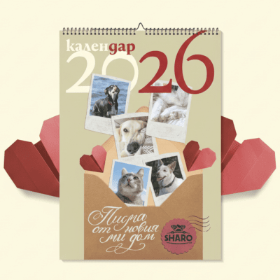 SHARO Благотворителен календар