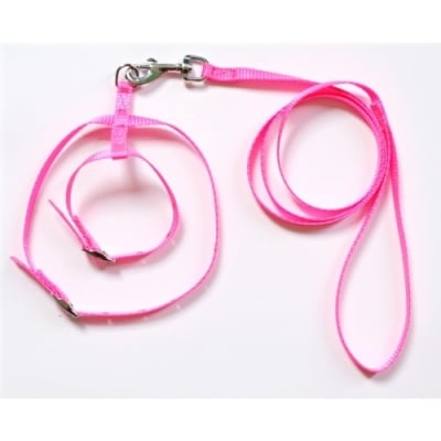 Повод с нагръдник за котка от изк. лента 10 мм - различни цветове