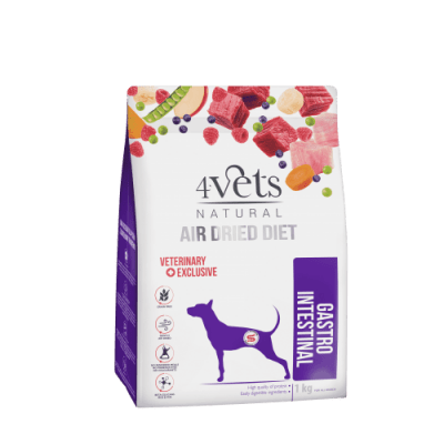 4Vets Natural Gastro Intestinal суха храна за стомашно чревни проблеми, 1 кг