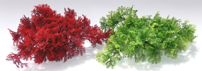 Растение Tropical Moss 8см от Sydeco, Франция