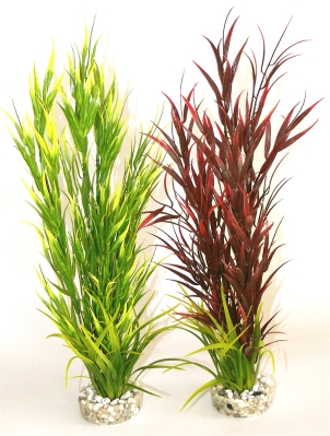 Растение Wild Mountain 39см от Sydeco, Франция