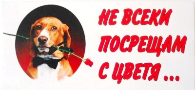 Стикер цветен “Не посрещам с цветя”