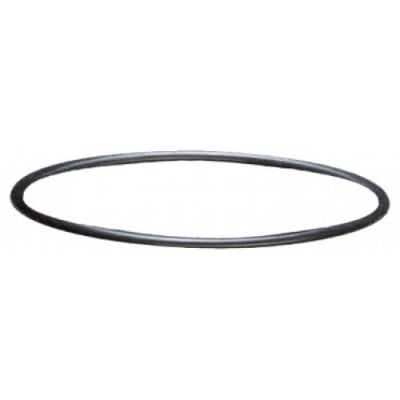 Уплътнителен пръстен за външни филтри sera fil 250 и 400