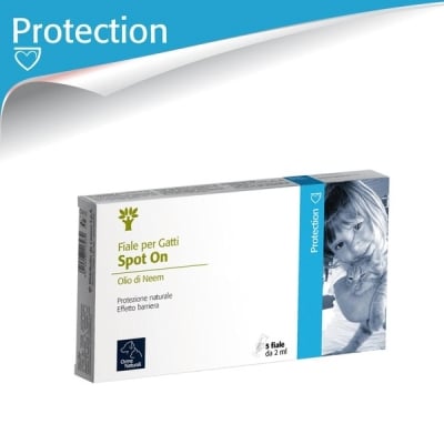 Spot On _ За Котки