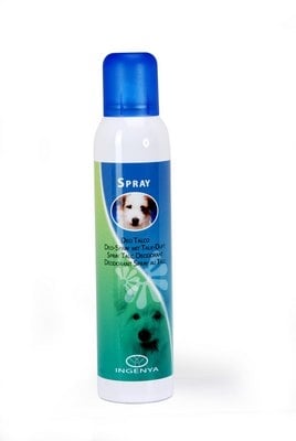 INGENYA Spray - Дезодорант с талк, 250 мл.