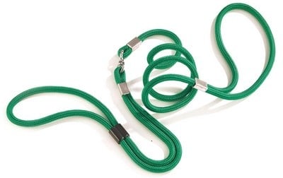 Изложбен повод 