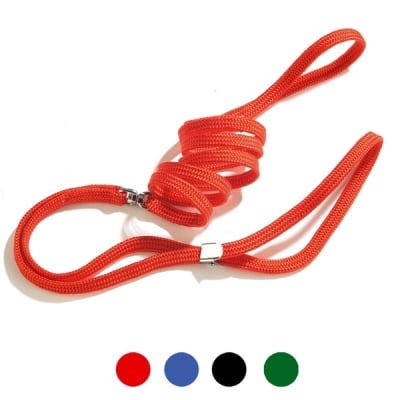 Изложбен повод