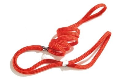 Изложбен повод