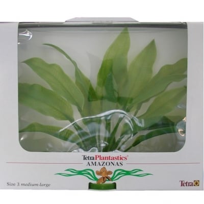 Растение за аквариум амазонка