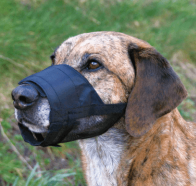 Намордник от плат 