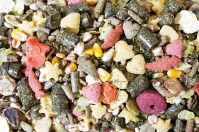 Класическа храна за морски свинчета 